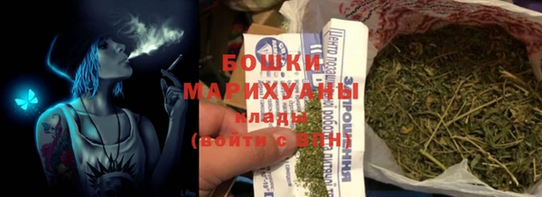 крисы Богородск