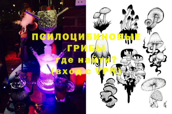 крисы Богородск