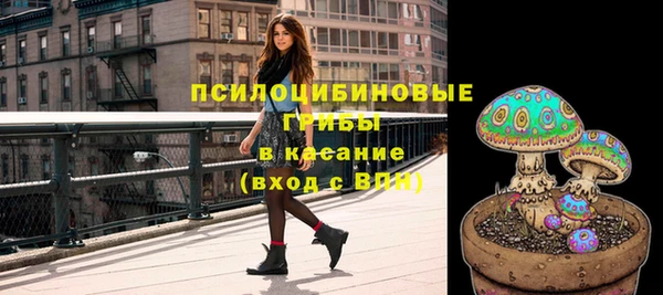 экстази Богородицк