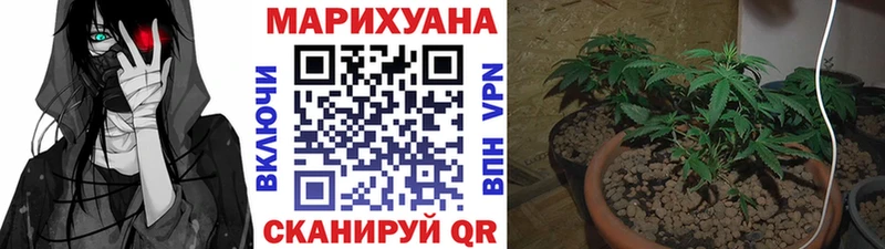 Бошки Шишки THC 21%  где купить наркоту  Острогожск 
